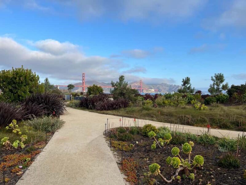 Epic San Francisco Views Urban Hiking Tour  City and Nature - The Value and Practicalities