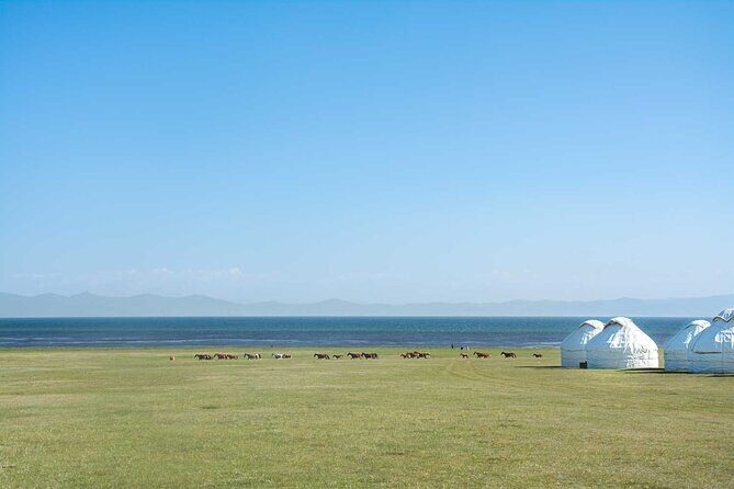 Epic Trip from Osh to Song Kol and Issyk Kul - Who Should Consider This Tour?