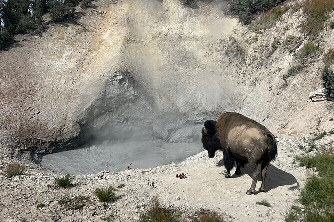 Epic Yellowstone Private Tour - FAQ