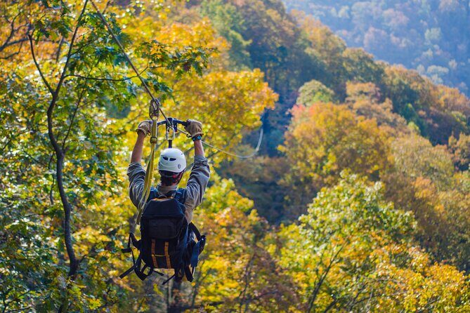 Epic Zipline Canopy Tour - The Gorge Zipline: Saluda, NC - Key Points