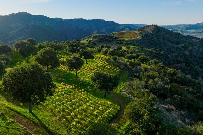 Epic Zipline Tour near Santa Barbara - Experience California from a New Perspective: The Epic Zipline Tour near Santa Barbara