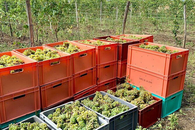 Epicurean Discovery Tour with Wine & Local Specialties - FAQ