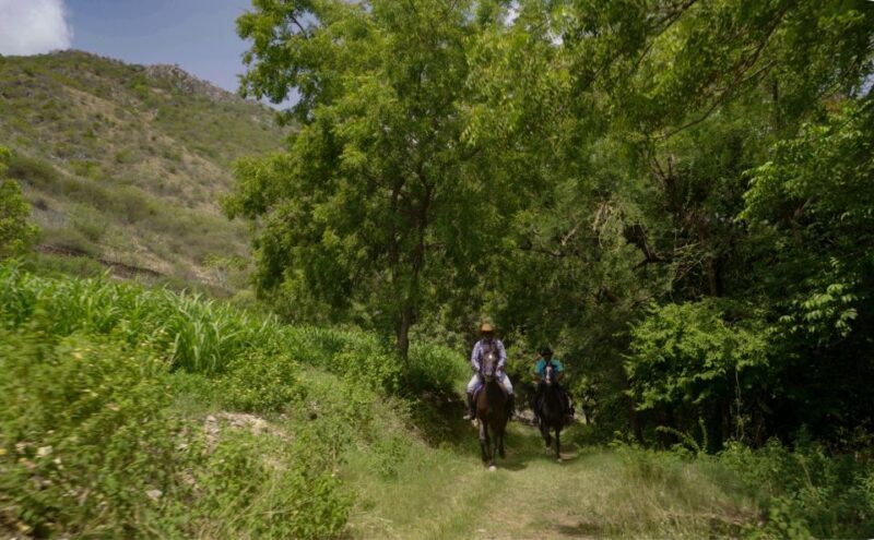 Equestrian Escape: Horse Safari Adventure - Exploring the Krishna Ranch Horse Safari