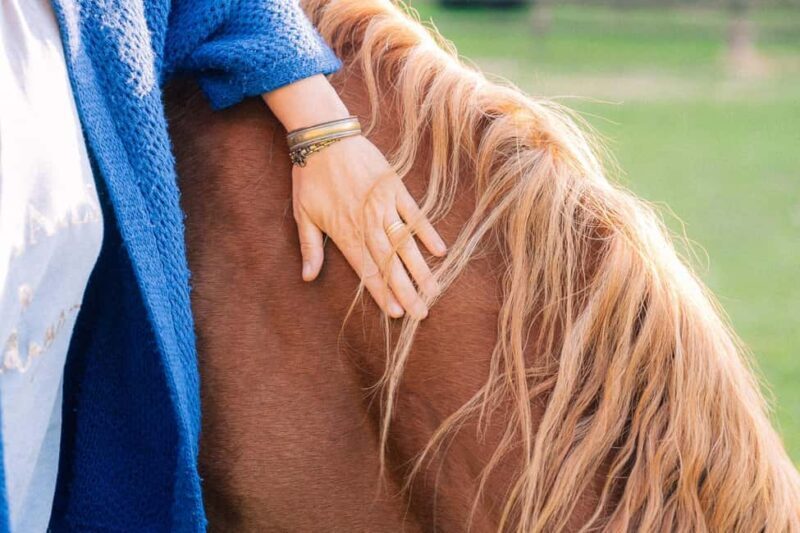 Equicoaching - experience the connection with horses in Normandy - What is Equicoaching and Why It Matters