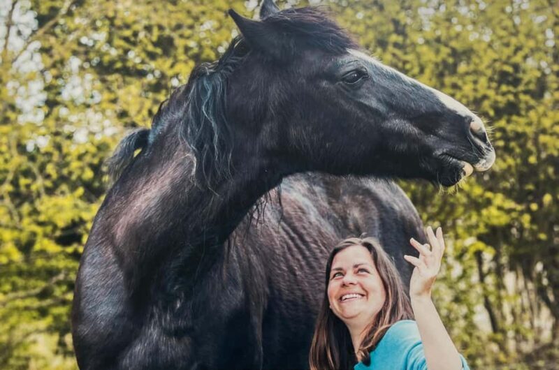 Equicoaching - experience the connection with horses in Normandy - Practical Details and Considerations