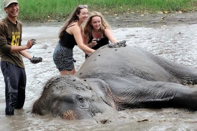 Erawan Waterfall and Elephant care from Bangkok -Private Tour - The Sum Up