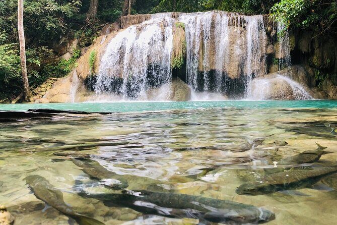 Erawan Waterfall and River Kwai Bridge Day Tour from Bangkok - The Bottom Line