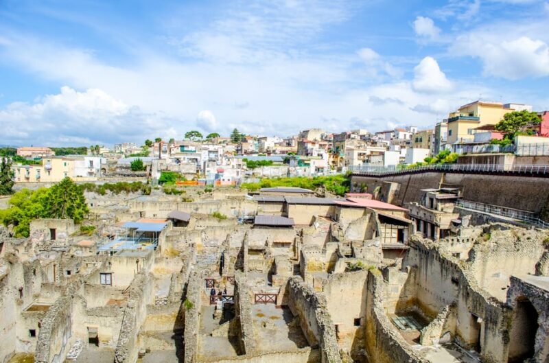 Ercolano: Herculaneum Entry Ticket with Optional Audio Guide - Who Should Consider This Tour?