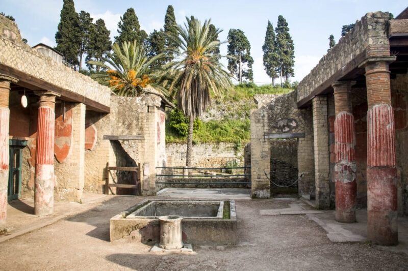 Ercolano: Herculaneum Entry Ticket with Optional Audio Guide - The Sum Up