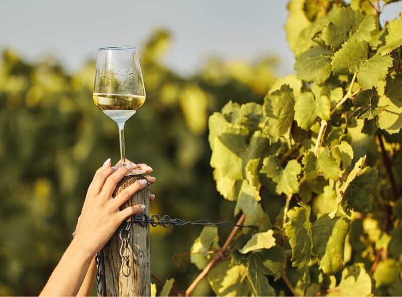 Ercolano vineyards, view cellar wine tasting and brunch - FAQ