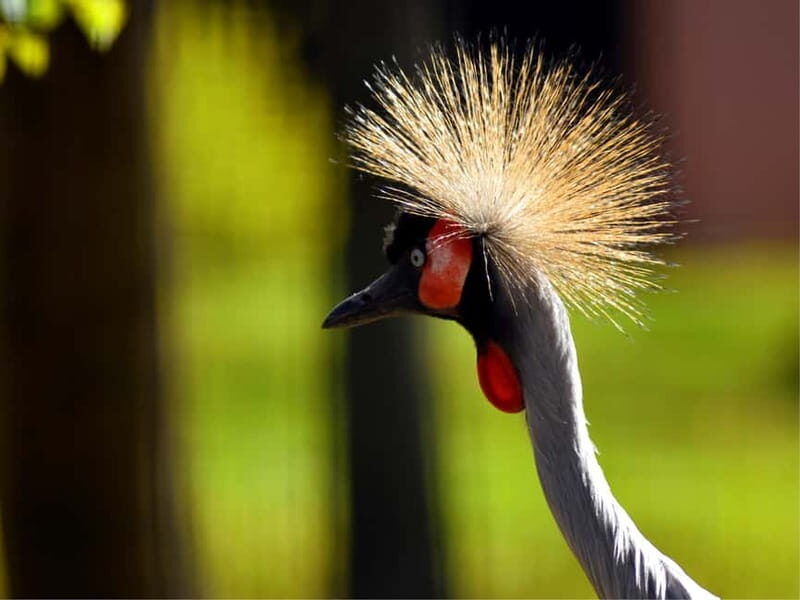 Erfurt: Erfurt Zoo Entry Ticket - Who Will Love This Experience?