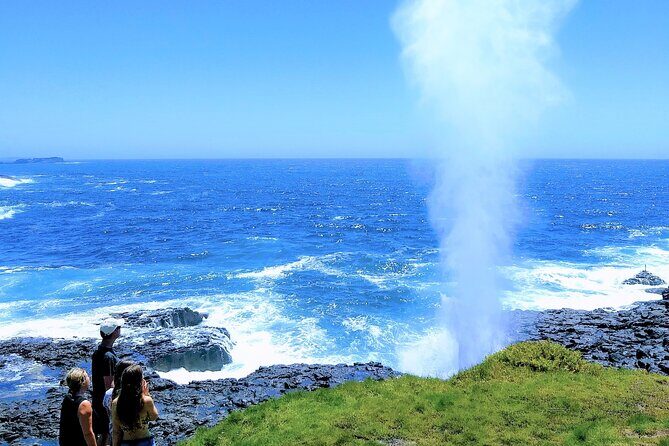 Erupting Blowholes and Ancient Rainforests SOUTH COAST OF SYDNEY PRIVATE TOUR - The Itinerary in Detail