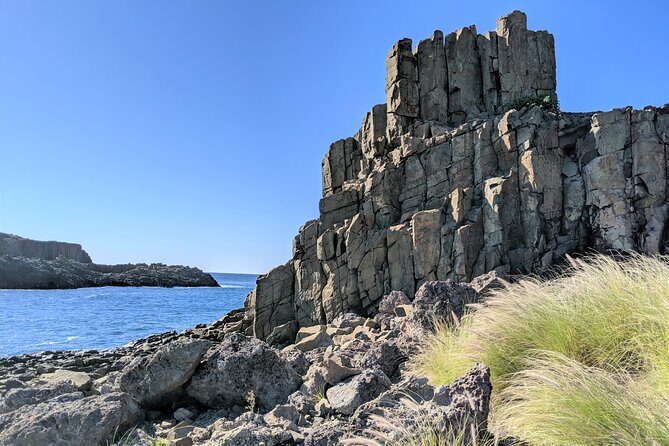 Erupting Blowholes and Ancient Rainforests SOUTH COAST OF SYDNEY PRIVATE TOUR - Who Would Enjoy This Tour?