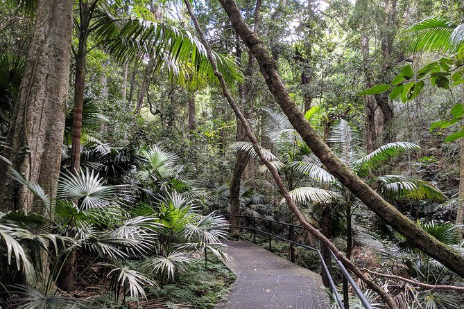 Erupting Blowholes and Ancient Rainforests SOUTH COAST OF SYDNEY PRIVATE TOUR - Frequently Asked Questions