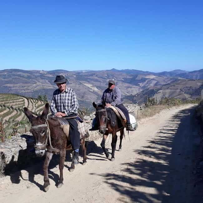 Ervedosa do Douro: Guided Walking Tour with Picnic Lunch - What’s Included and What’s Not