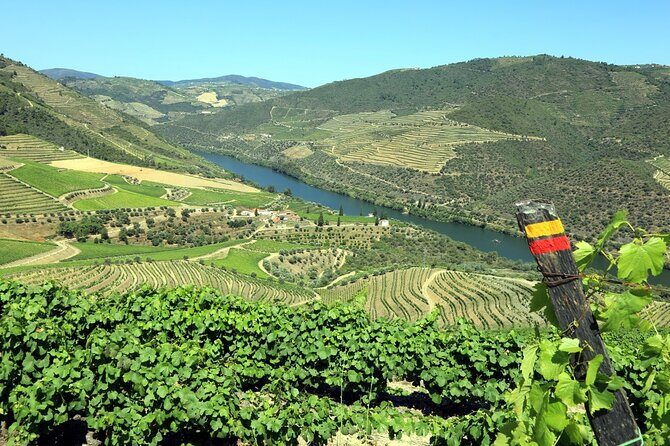 Ervedosa do Douro Walking Tour - Experience and Itinerary Breakdown