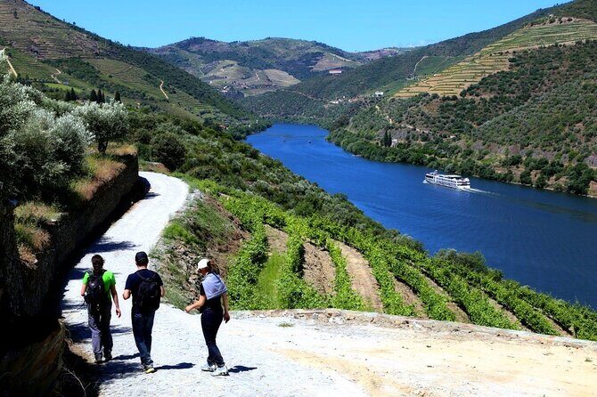 Ervedosa do Douro Walking Tour - What to Consider