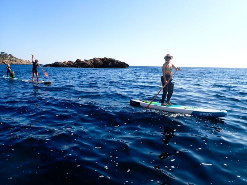 Es Figueral: Standup Paddleboarding Adventure - Final Thoughts