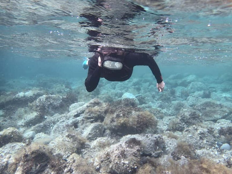 Es Grau:Private Snorkeling Experience with Picnic and Drinks - The Sum Up: Who Will Love This Tour?
