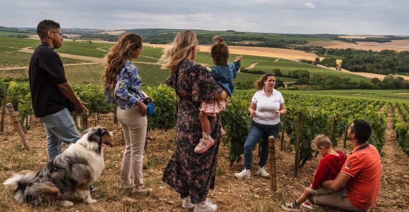 Escapade and tasting in the Chablis vineyards - Escapade and tasting in the Chablis vineyards: A detailed review