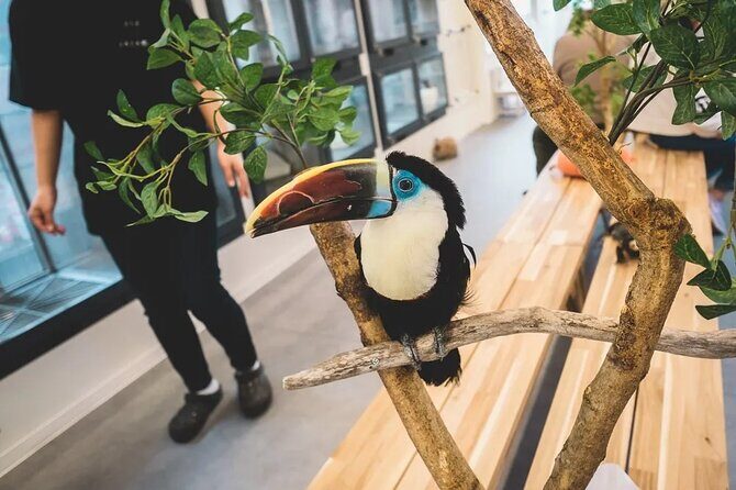 Escape Explore and Relax Unique Nagoya Experience - Final Thoughts