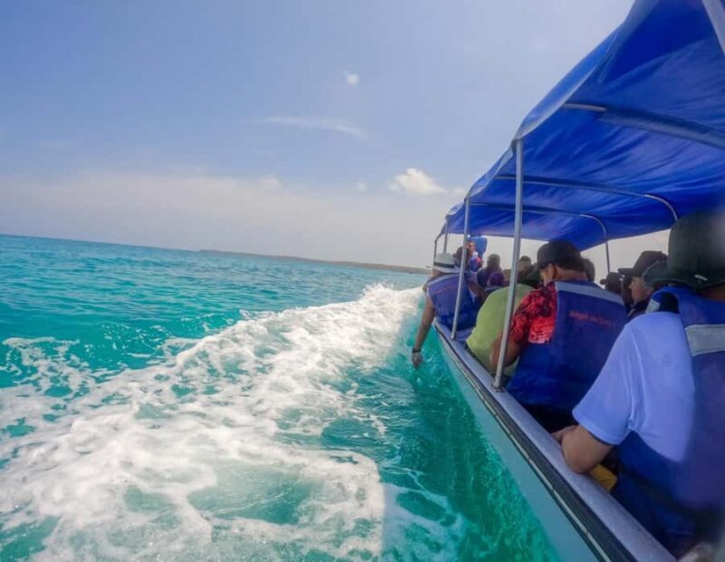 Escape from Cartagena to Isla de Baru and see the Mangroves! - Discovering Baru Island: What the Tour Offers