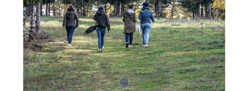 Escape Game in Gondrin - FAQ