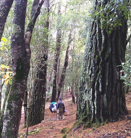 Escape into Sardinia - A Closer Look at the Seven Brothers National Park Hike
