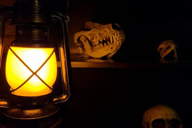 Escape Room Experience Taupo - The Cursed Cabin - Key Points