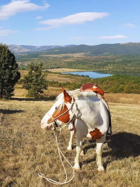 Escape Sofia: horse ride through Bulgaria´s beauty - Key Points