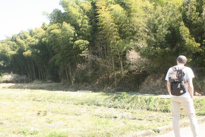 Escape the City Short Hike and Onigiri Picnic in Osaka - Who Will Love This Tour?