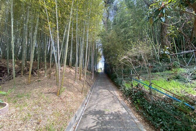 Escape the City Tea, Calligraphy and Tea Fields in Rural Kyoto - Introduction: A Unique Cultural Escape