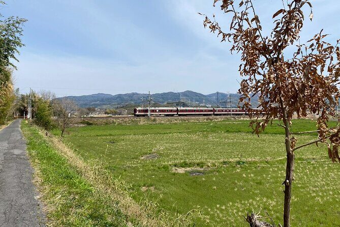 Escape the City Tea, Calligraphy and Tea Fields in Rural Kyoto - What’s Included and What’s Not