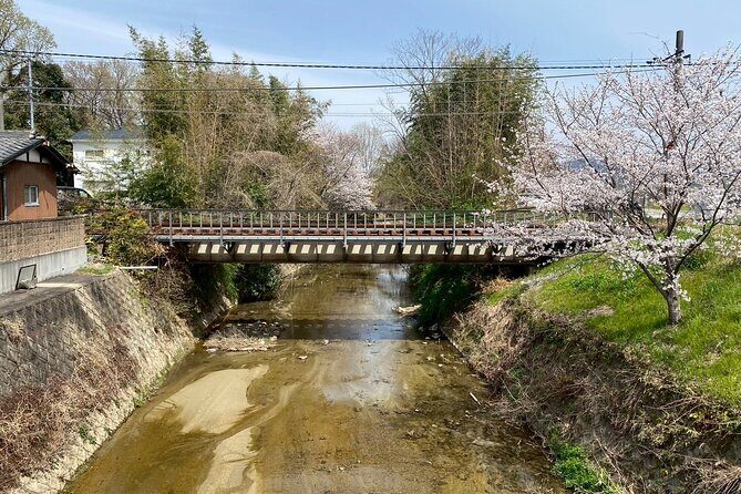 Escape the City Tea, Calligraphy and Tea Fields in Rural Kyoto - The Sum Up