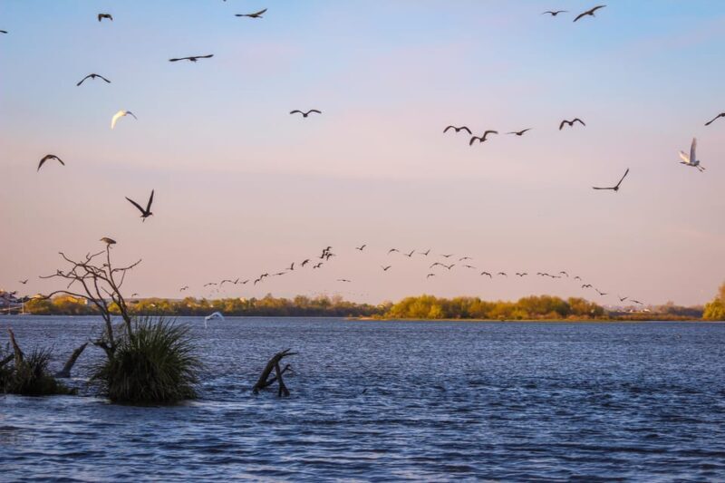 Escaroupim: 1 hour boat trip, guided tour - Deep Dive: What Makes This Tour Stand Out?