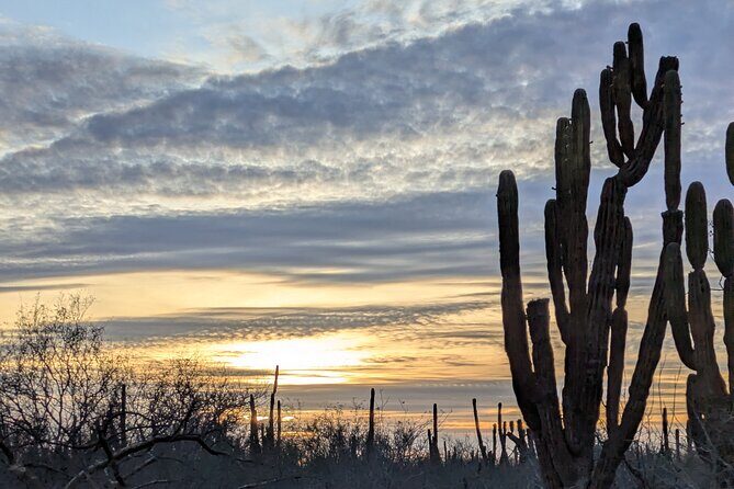 Espíritu Santo Adventure Private Tour - An Authentic Day on Espíritu Santo Island: A Balanced Review