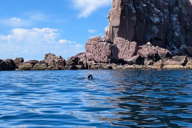 Espíritu Santo Adventure Private Tour - Key Points