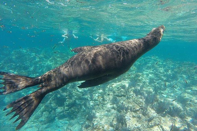 Espiritu Santo Island Day Tour - An In-Depth Look at the Espiritu Santo Island Tour