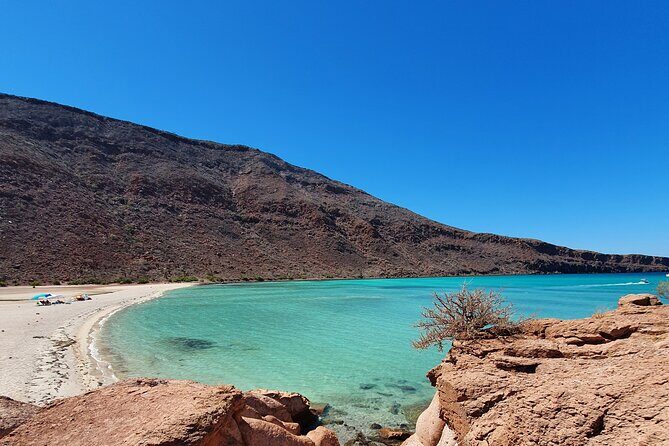 Espíritu Santo Island snorkel and sightseeing tour on Small Group - Frequently Asked Questions