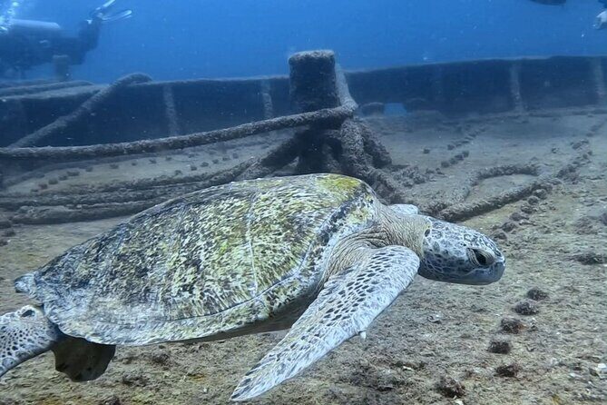 Espiritu Santo Private SCUBA Tour for Beginners - The Experience: What to Expect from Start to Finish