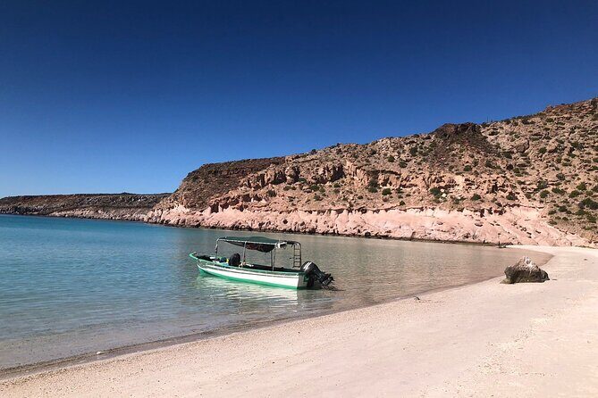 Espiritu Santo Private SCUBA Tour for Beginners - The Itinerary in Detail