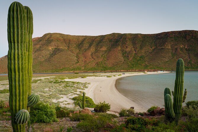 Espiritu Santo Wildlife Expedition and Snorkeling Tour (Private) - Who Should Consider This Tour?