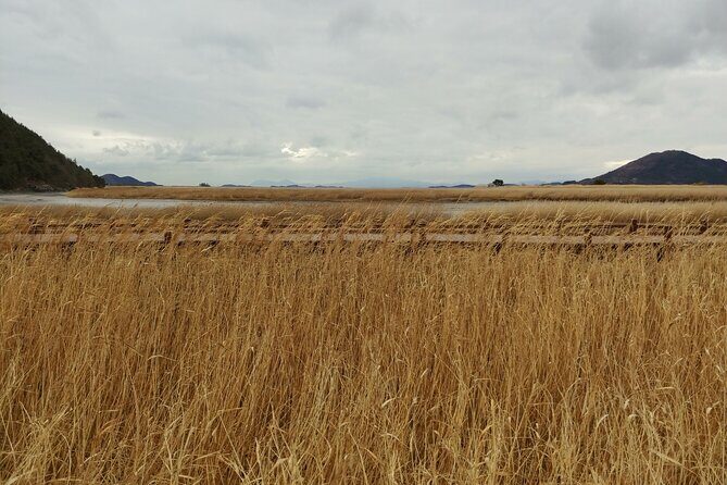 Essence Korea 3days Ptivate Tour(West/East) - Who Will Love This Tour?