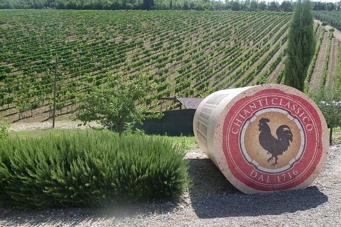 Essence of Chianti Small Group Tour with Lunch and Tastings from Florence - A Scenic Journey into the Heart of Chianti