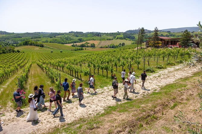 Essence of Chianti Small Group Tour with Lunch and Tastings from Florence - Who Should Consider This Tour?