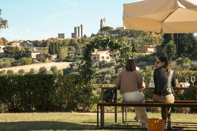 Essence of Tuscany - Private Wine & Evo oil Tasting - The Location and Setting