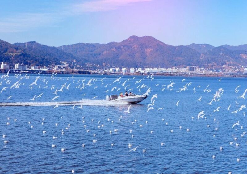 Essences of Kunming Downtown Day Tour - Key Points