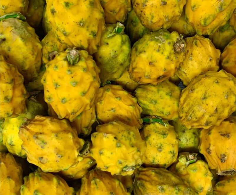 Essential Fruit Experience - Key Points