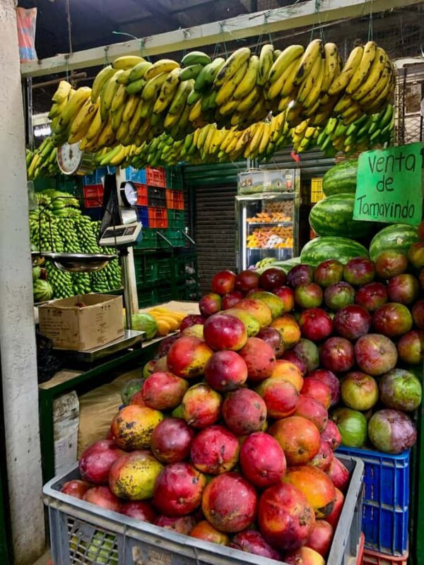 Essential Fruit Experience - Who Will Love This Experience?