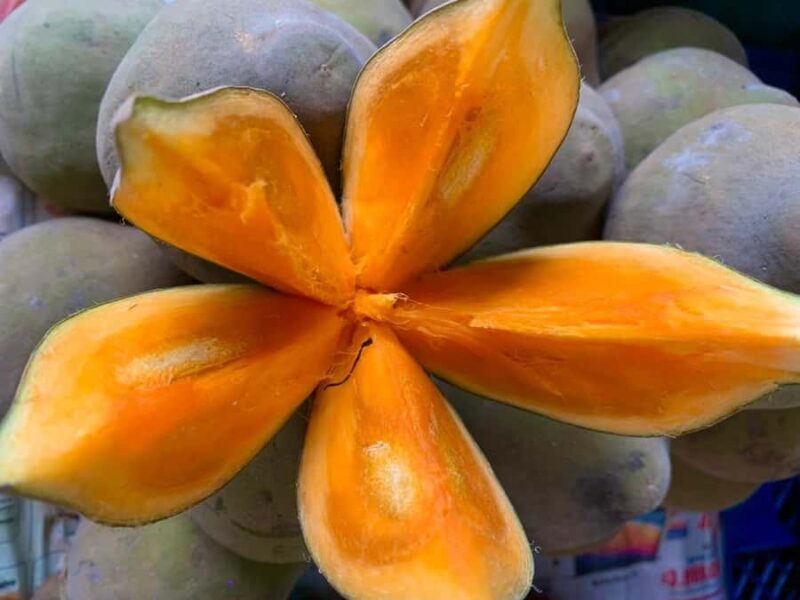 Essential Fruit Experience - Final Word